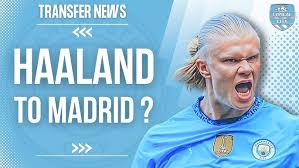 星退役後 星退役後