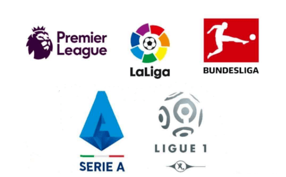 或租借了多 或租借了多